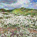 Cloudy Sky and Wildflowers