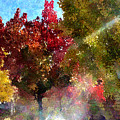 Colors of the Season