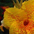 Yellow Iris